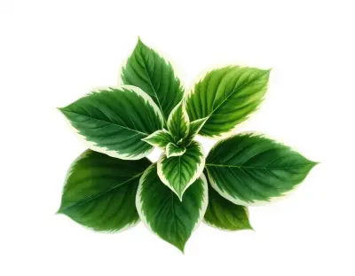 AI-generated watercolor illustration of Hosta 'Red Hot Poker' (not a photograph)