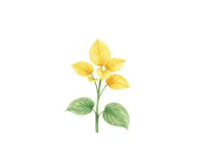 AI-generated watercolor illustration of Hosta 'Riviera Sunset' (not a photograph)