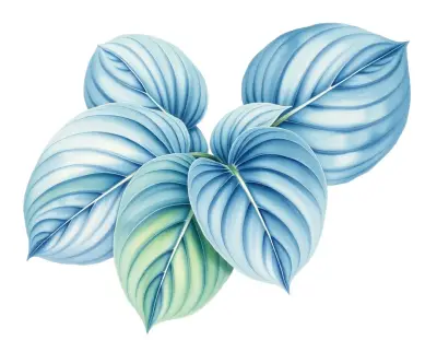 AI-generated watercolor illustration of Hosta 'Roseann Walter' (not a photograph)