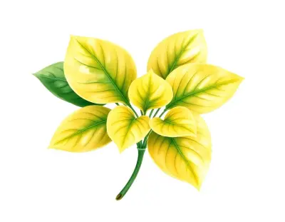 AI-generated watercolor illustration of Hosta 'Rosedale Golden Arches' (not a photograph)
