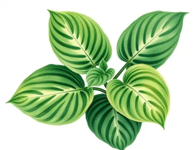 AI-generated watercolor illustration of Hosta 'Rosedale Little Puddle' (not a photograph)