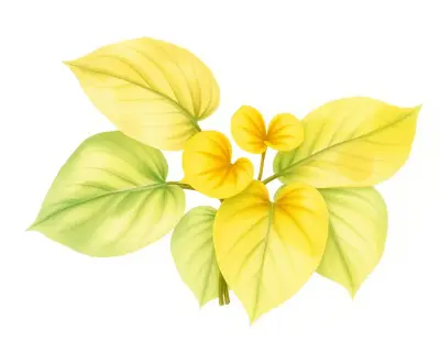 AI-generated watercolor illustration of Hosta 'Sarah Tilman' (not a photograph)