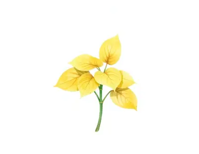 AI-generated watercolor illustration of Hosta 'Scarlet O'Hara' (not a photograph)