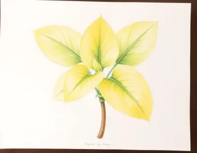 AI-generated watercolor illustration of Hosta 'Sea Nautilus' (not a photograph)