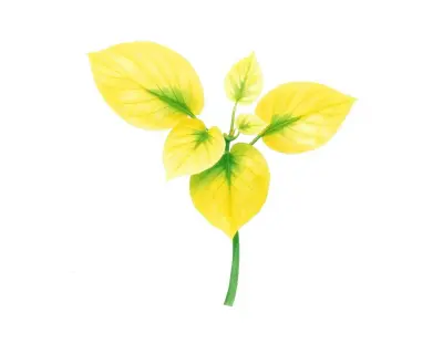 AI-generated watercolor illustration of Hosta 'Sea Yellow Sunrise' (not a photograph)