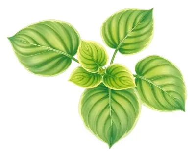 AI-generated watercolor illustration of Hosta 'Shady Lover' (not a photograph)
