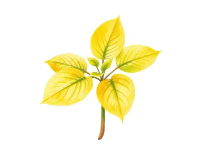AI-generated watercolor illustration of Hosta 'Shall We Dance' (not a photograph)