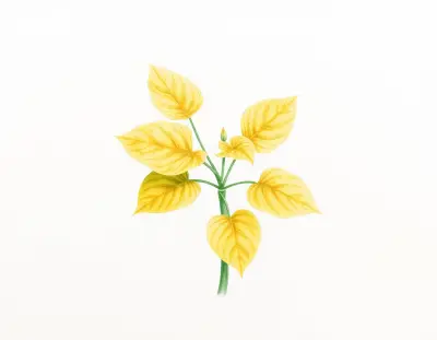 AI-generated watercolor illustration of Hosta 'Shiny Penny' (not a photograph)