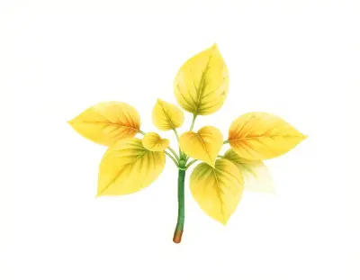 AI-generated watercolor illustration of Hosta 'Shirley Levy' (not a photograph)