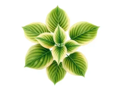 AI-generated watercolor illustration of Hosta 'Shirofukurin Hime Iwa' (not a photograph)