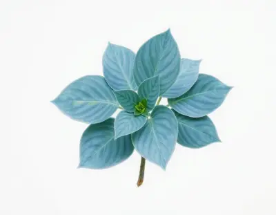 AI-generated watercolor illustration of Hosta 'Skinny Dippin' (not a photograph)