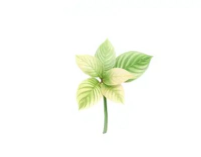 AI-generated watercolor illustration of Hosta 'Southern Comfort' (not a photograph)