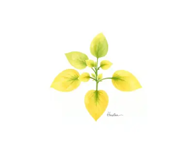 AI-generated watercolor illustration of Hosta 'Sparky' (not a photograph)