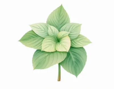 AI-generated watercolor illustration of Hosta 'St. Nicholas' (not a photograph)