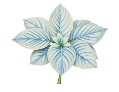 AI-generated watercolor illustration of Hosta 'Star Spangled Banner' (not a photograph)