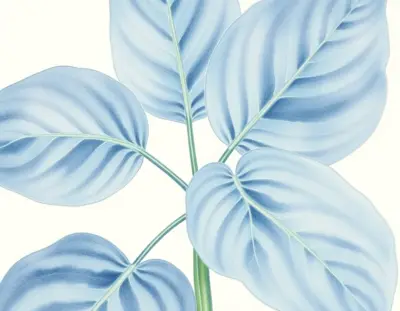 AI-generated watercolor illustration of Hosta 'Steve Moldovan' (not a photograph)