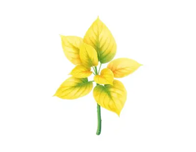 AI-generated watercolor illustration of Hosta 'Stitch in Time' (not a photograph)