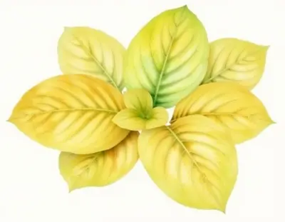 AI-generated watercolor illustration of Hosta 'Straight Flush' (not a photograph)