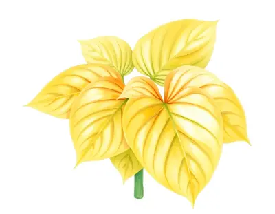 AI-generated watercolor illustration of Hosta 'Straka Gold' (not a photograph)