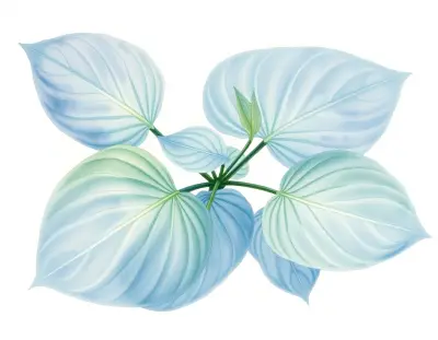 AI-generated watercolor illustration of Hosta 'String of Pearls' (not a photograph)