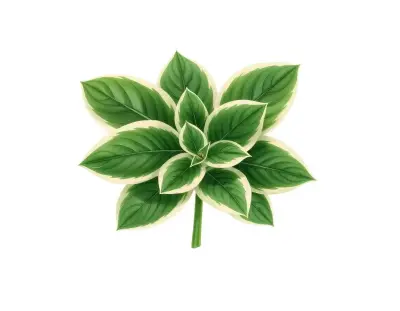 AI-generated watercolor illustration of Hosta 'Suliban' (not a photograph)