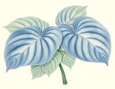 AI-generated watercolor illustration of Hosta 'Sum of All' (not a photograph)