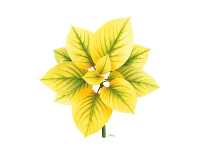 AI-generated watercolor illustration of Hosta 'Summer Serenade' (not a photograph)