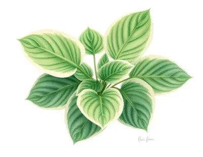 AI-generated watercolor illustration of Hosta 'Temple of Heaven' (not a photograph)